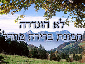 גלריית תמונות הייטק צף המכיל את מגוון התמונות המרכזיות באתר